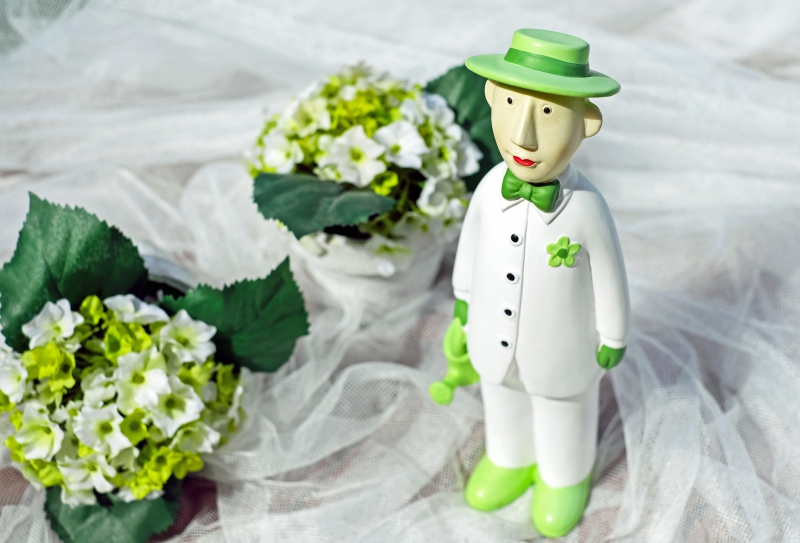 vitrine-BARGEME-min_man-person-flower-green-toy-fig-546529-pxhere.com